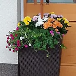 Daire Barbara Sankt Johann in Tirol