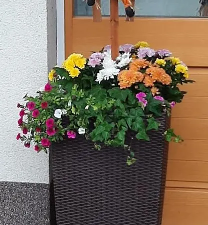 Apartmán Barbara Sankt Johann in Tirol