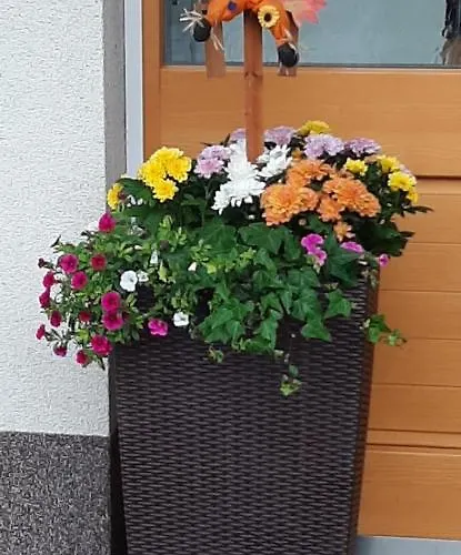 Appartement Barbara Sankt Johann in Tirol